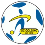 Escudo do Golling